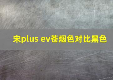 宋plus ev苍烟色对比黑色